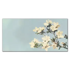 plotno-obraz-na-sciane-azalie-japonskie-100x50-cm