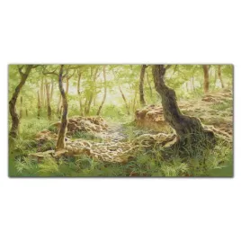 foto-obraz-szklany-las-skaly-przyroda-120x60-cm