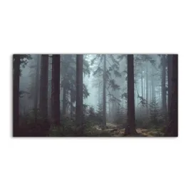 panele-szklane-do-kuchni-krajobraz-mgla-las-120x60