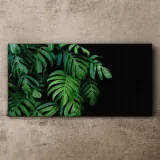 obraz-scienny-na-plotnie-liscie-rosliny-100x50-cm-stan-nowy