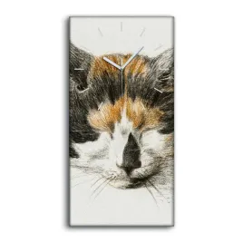 zegar-canvas-z-grafika-do-biura-30x60-zwierze-kot