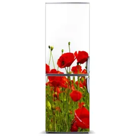 naklejka-magnetyczna-magnes-pole-makow-60x180