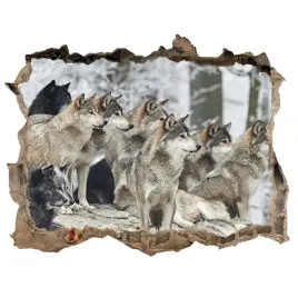 dziura-3d-fototapeta-scienna-naklejka-wilki-zima