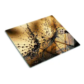 oslona-plyty-indukcyjnej-nasiona-dmuchawca-60x52