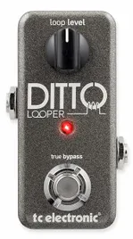 tc-electronic-ditto-looper-gitarowy-efekt