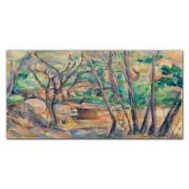 foto-obraz-na-ramie-plotno-natura-drzewa-120x60-cm