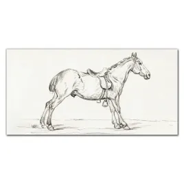 obraz-na-plotnie-na-ramie-zwierze-kon-120x60-cm
