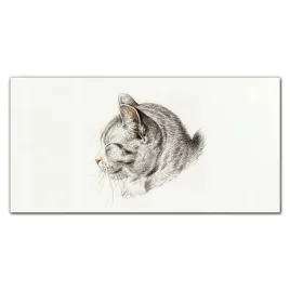 obraz-na-plotnie-na-ramie-zwierze-kot-120x60-cm