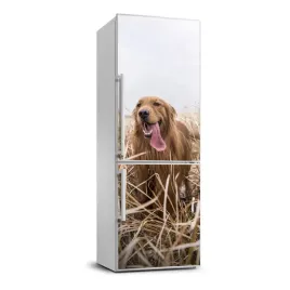 naklejka-samoprzylepna-na-lodowke-golden-retriever