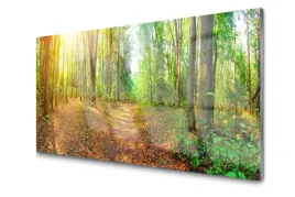 fotoobraz-na-szkle-las-natura-drzewa-100x50