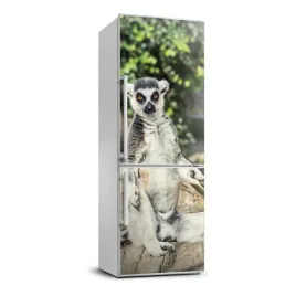 naklejka-samoprzylepna-lodowke-sciane-lemur-70x190