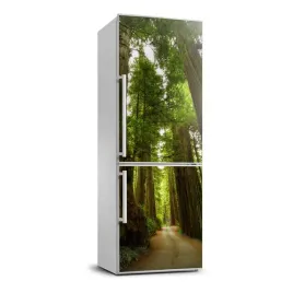 naklejka-tapeta-na-lodowke-sciezka-w-lesie-70x190