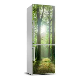 naklejka-tapeta-na-lodowke-slonce-w-lesie-70x190
