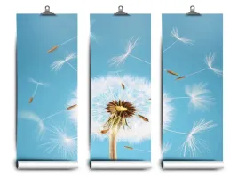 fototapeta-lateks-dmuchawiec-104x70-klej