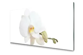 obraz-szklany-kwiat-roslina-natura-foto-100x50