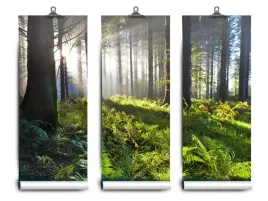 fototapeta-lateks-drewno-slonce-104x70-klej
