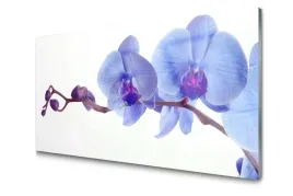 obraz-szklany-kwiaty-roslina-foto-natura-100x50