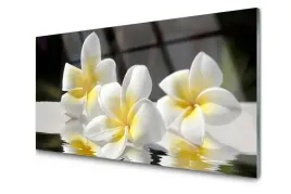 obraz-szklany-kwiaty-roslina-natura-foto-100x50