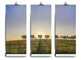 fototapeta-lateks-oliwny-gaj-104x70-klej