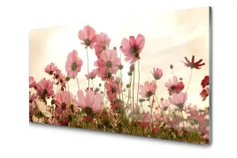 obraz-szklany-kwiaty-polne-laka-natura-foto-100x50