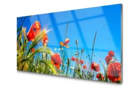 obraz-szklany-kwiaty-maki-pole-trawy-foto-100x50