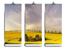 fototapeta-lateks-rzepak-pola-104x70-klej