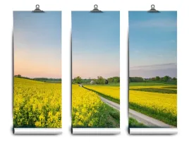fototapeta-lateks-rzepaku-pole-104x70-klej