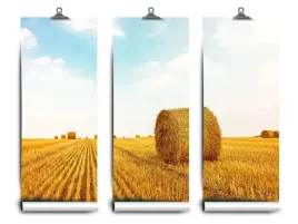 fototapeta-lateks-slomy-bele-104x70-klej