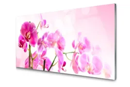 obraz-szklany-kwiaty-roslina-natura-foto-100x50