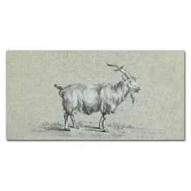 scienny-fotoobraz-na-plotnie-zwierze-koza-120x60