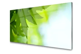 obraz-szklany-liscie-natura-roslina-foto-100x50