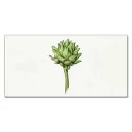 obraz-scienny-na-plotnie-kwiaty-rosliny-120x60-cm