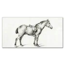 obraz-na-plotnie-na-ramie-zwierze-kon-120x60-cm
