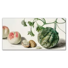 foto-obraz-na-ramie-plotno-owoce-orzechy-120x60-cm