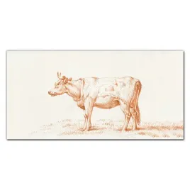 foto-obraz-na-ramie-plotno-zwierze-krowa-120x60-cm