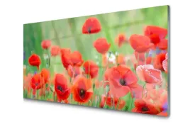 obraz-szklany-maki-roslina-natura-foto-art-100x50