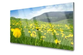 obraz-szklany-mniszek-lekarski-natura-foto-100x50