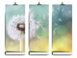 fototapeta-lateks-mniszek-dmuchawiec-104x70