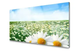 obraz-szklany-stokrotki-kwiaty-laka-pole-100x50