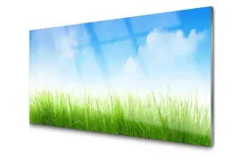 obraz-szklany-trawa-natura-roslina-foto-100x50