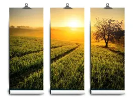 fototapeta-lateks-drzewo-wzgorze-152x104-klej