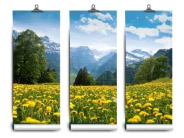 fototapeta-lateks-gory-mlecze-152x104-klej