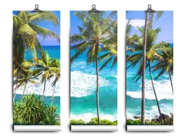 fototapeta-lateks-palmy-plaza-152x104-klej