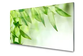 obraz-szklany-zielone-liscie-natura-foto-100x50