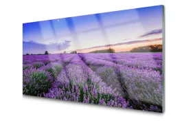 obraz-szklany-laka-kwiaty-natura-roslina-100x50