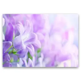 grafika-na-szkle-kwiaty-roslina-natura-foto-100x70