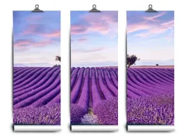 fototapeta-lateks-lawendy-pole-152x104-klej