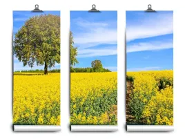 fototapeta-lateks-kwiaty-zolte-152x104-klej
