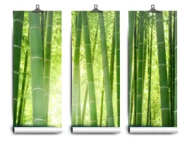fototapeta-lateks-las-bambusowy-152x104-klej