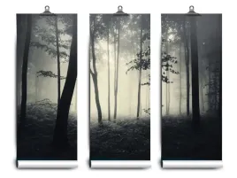 fototapeta-lateks-las-mglisty-152x104-klej